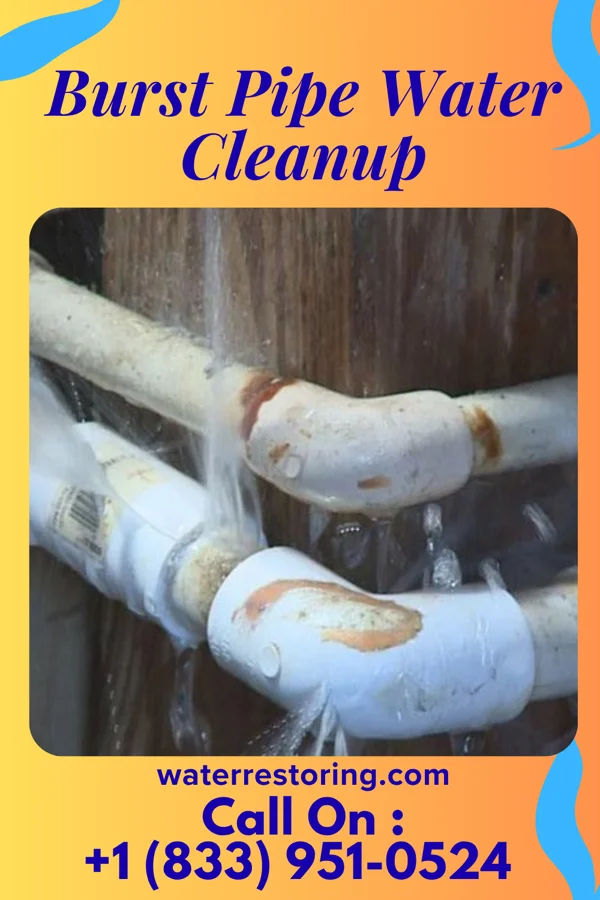 Burst Pipe Water Cleanup in Maybrook, NY