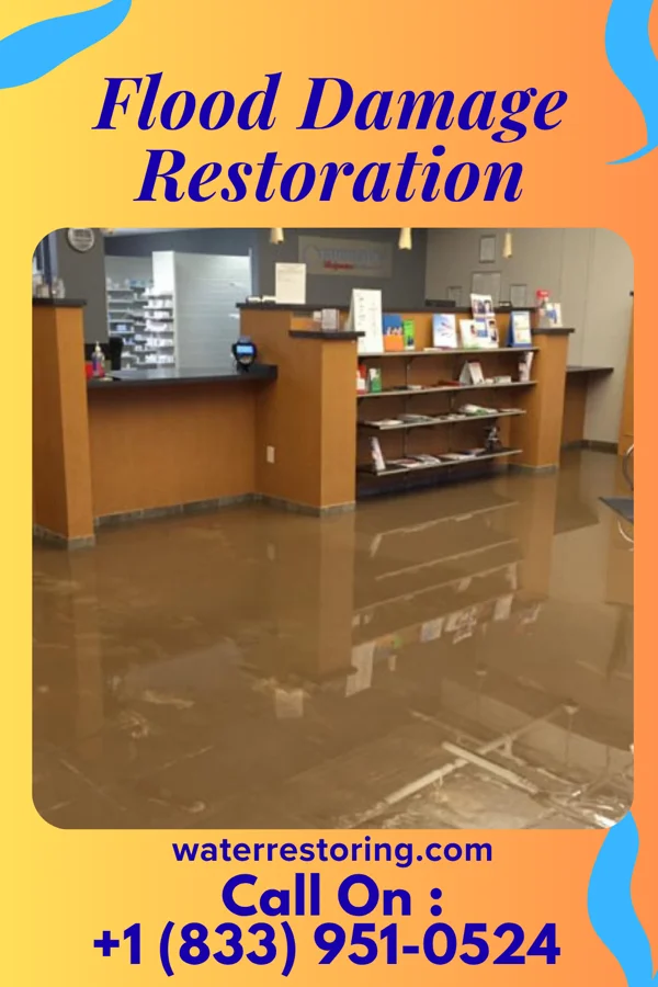 Flood Damage Restoration in Maybrook, NY
