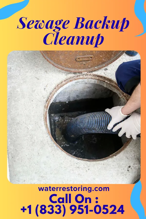 Sewage Backup Cleanup in Maybrook, NY