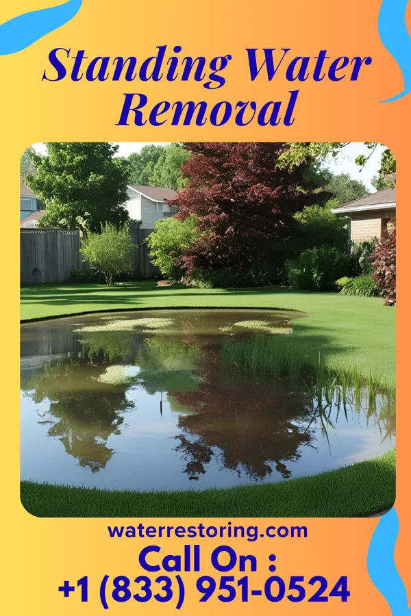 Standing Water Removal in Maybrook, NY